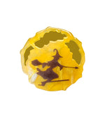 sticky-prod-image